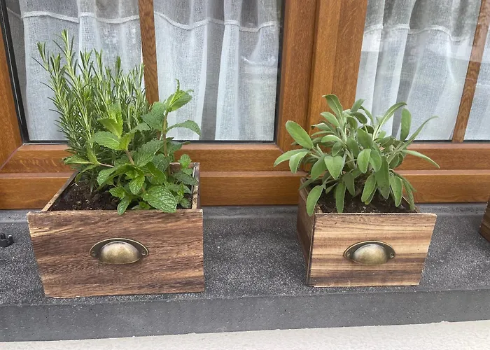 Mosel-wohnen Iii Stadtzentrum Lägenhet Cochem